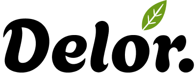 وب سایت فروشگاهی | دلور