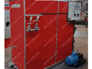 کارواش بخار فوری 3000